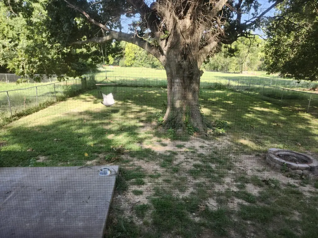 Picture 27