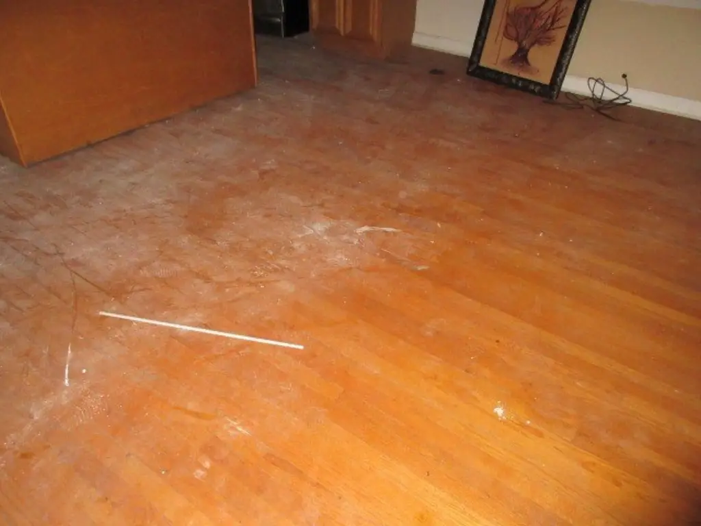 Picture 5