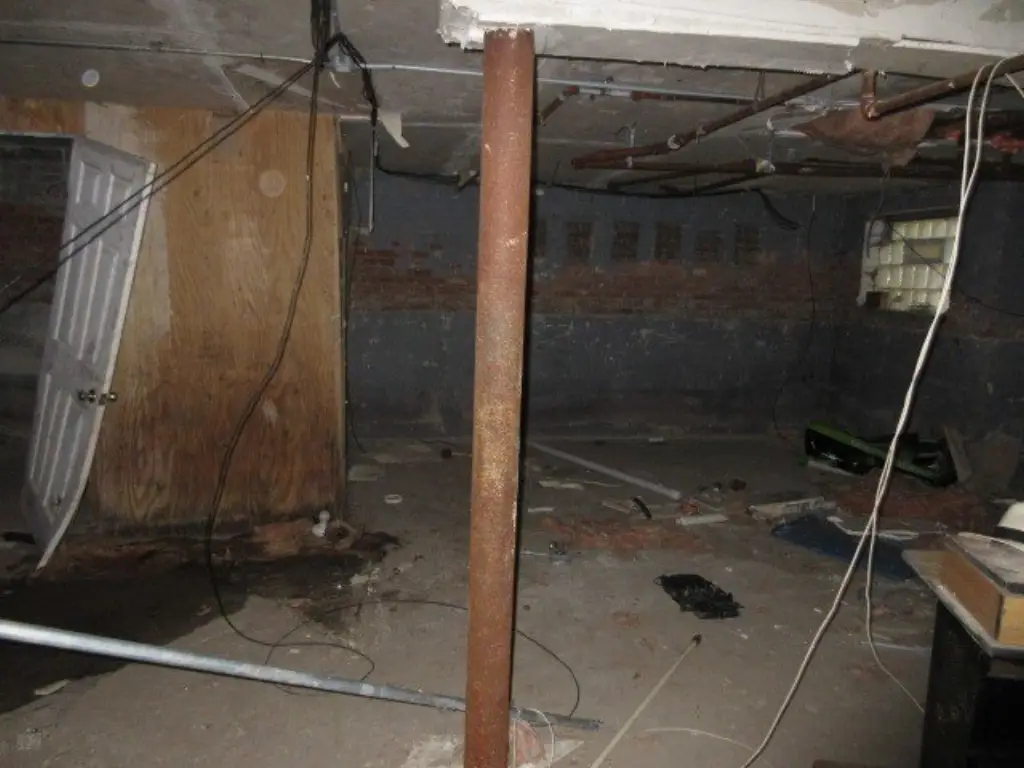 Picture 23
