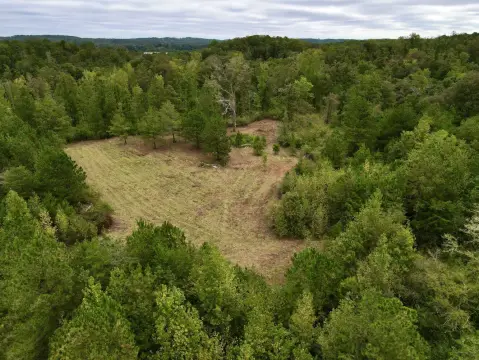 Hunting Land with Creek Frontage
