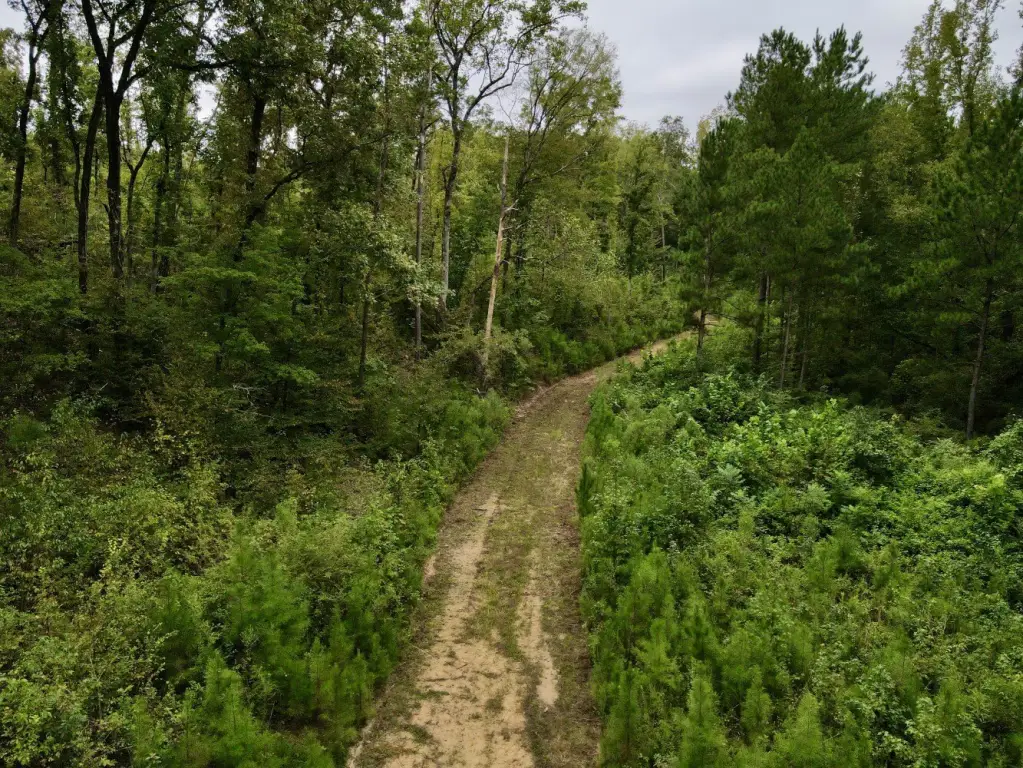 Picture 19