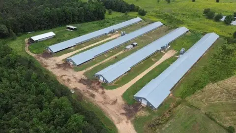 Waldo, AR Broiler Farm
