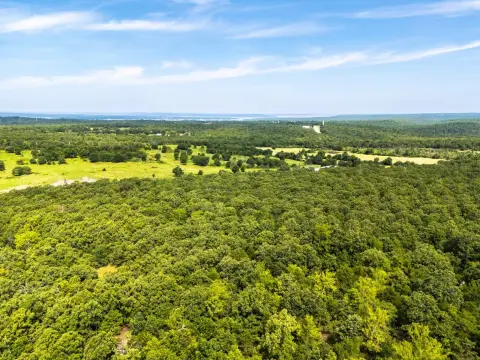 5-Acre Timbered Tract Homesite Potential
