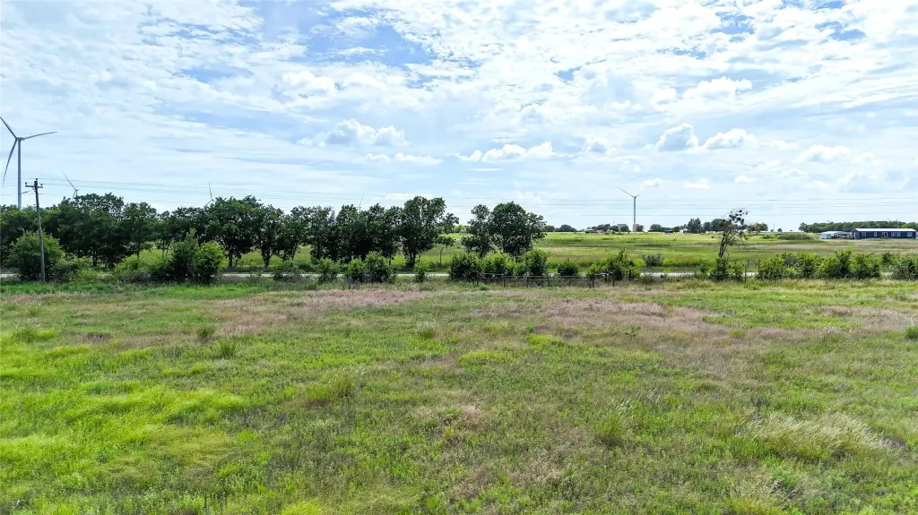 Picture 14