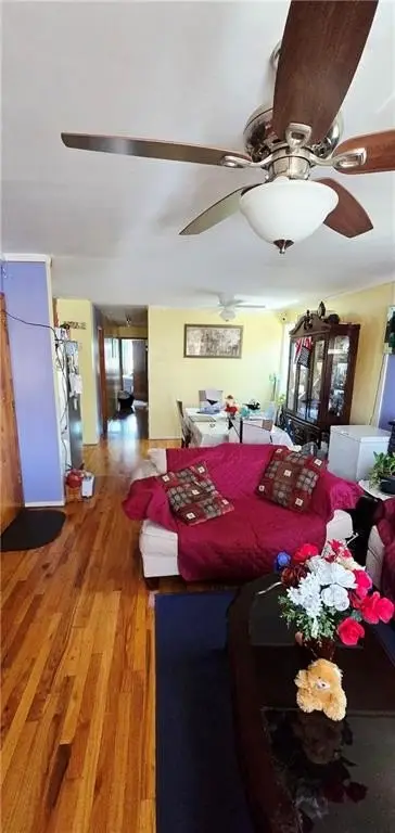 Picture 5