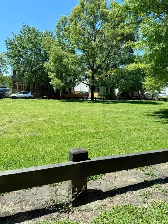 Picture 3