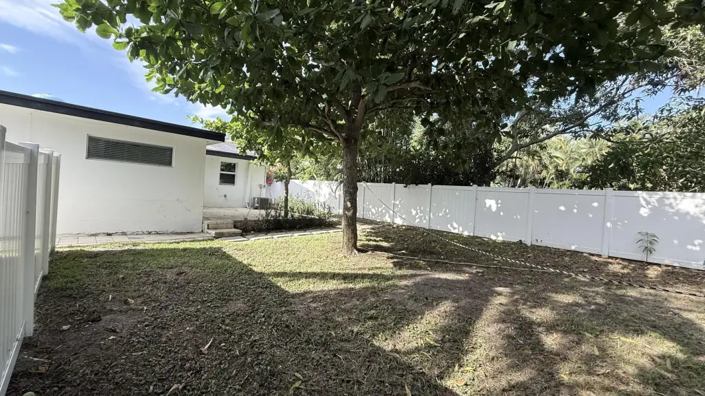 Picture 28