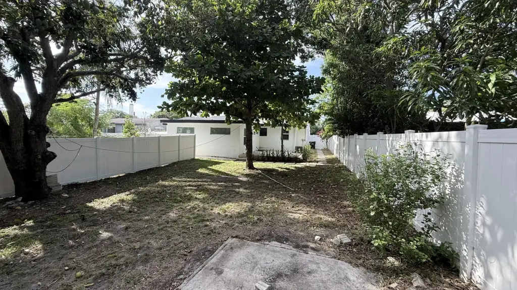 Picture 29