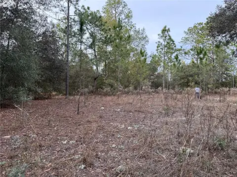 Rainbow Lake Estates Vacant Lot