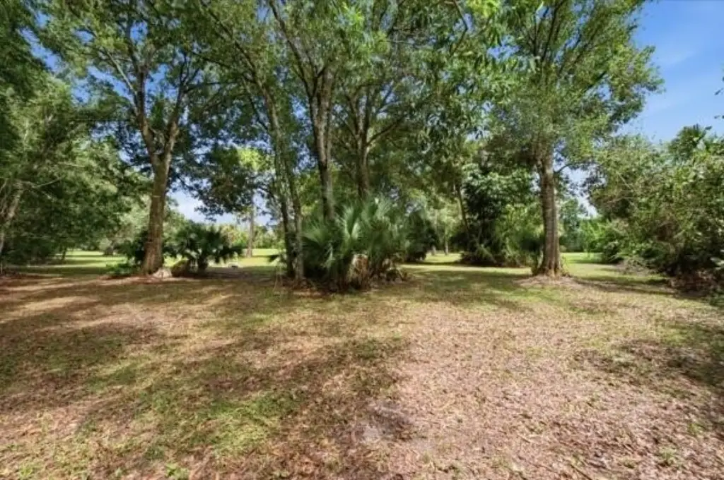 Picture 12