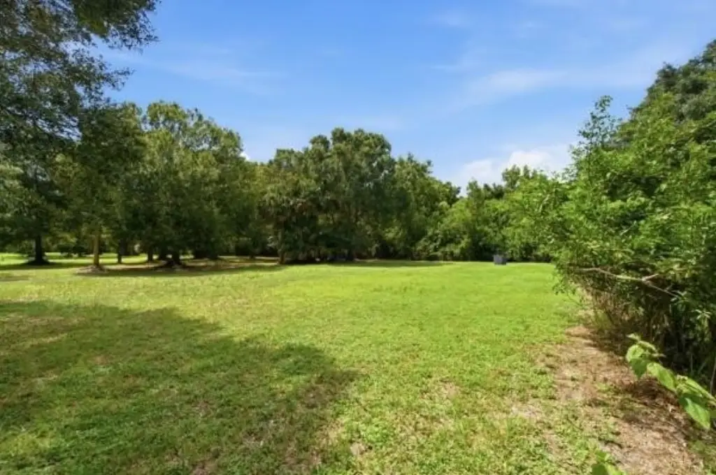 Picture 23