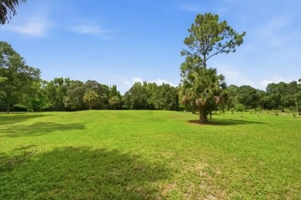 Picture 30