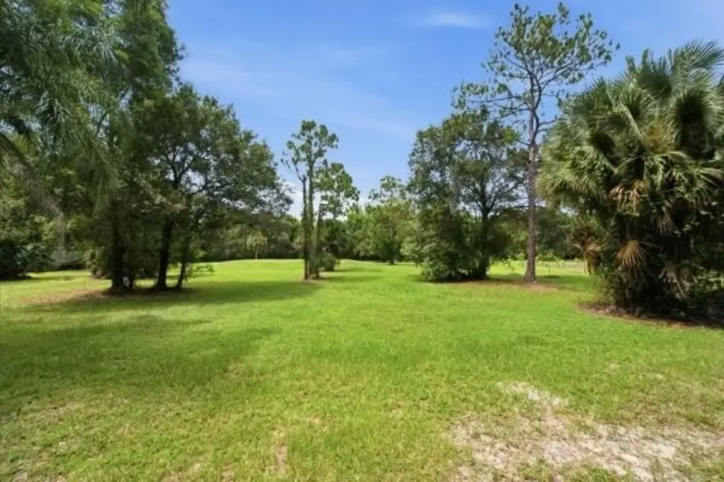 Picture 10