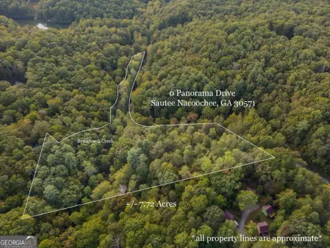 Land with Creek Access