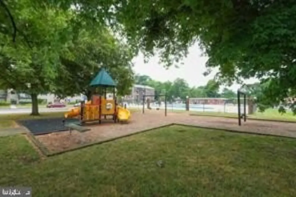 Picture 20