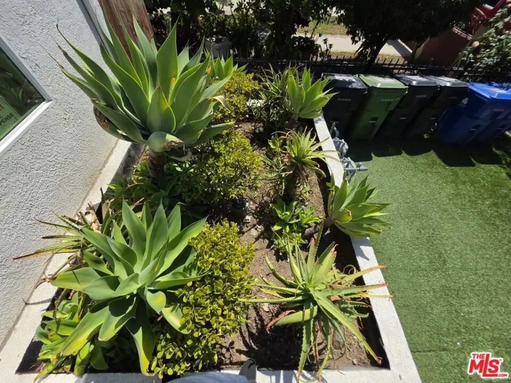 Picture 3