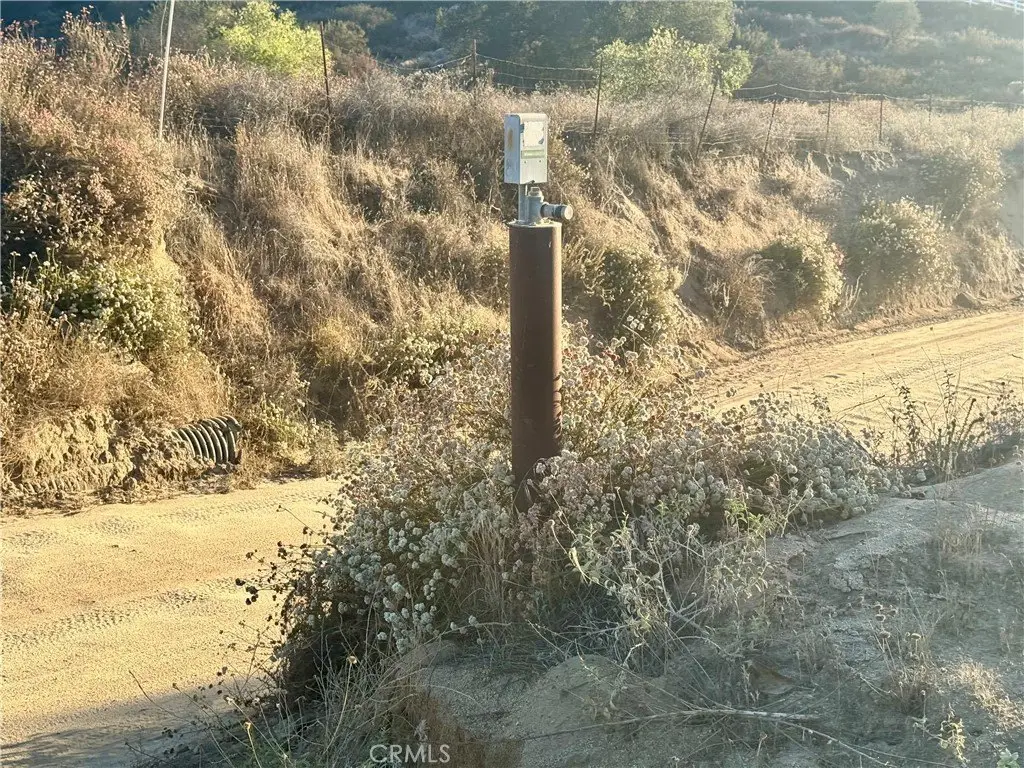 Picture 16