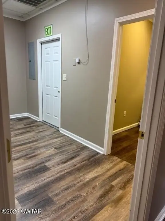 Picture 5