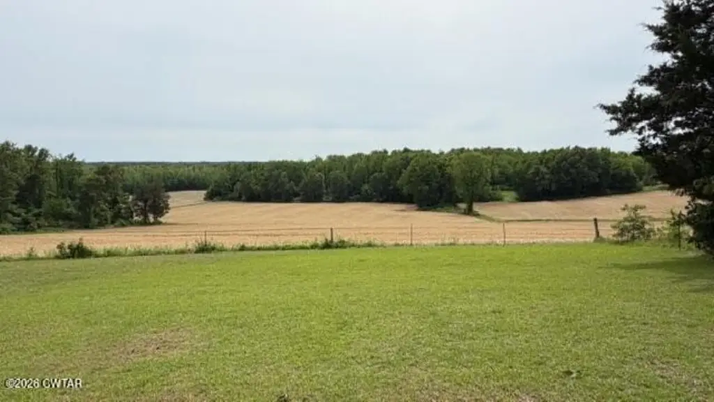 Picture 20