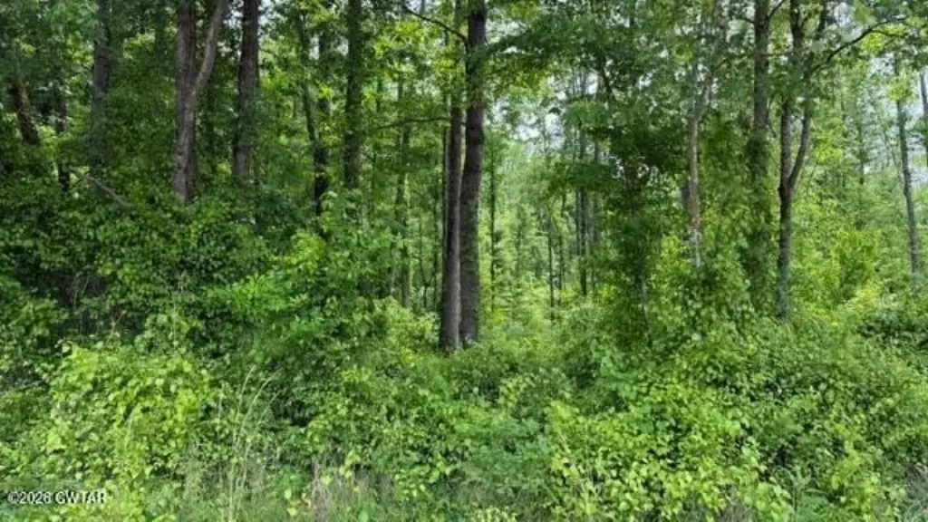 Picture 2