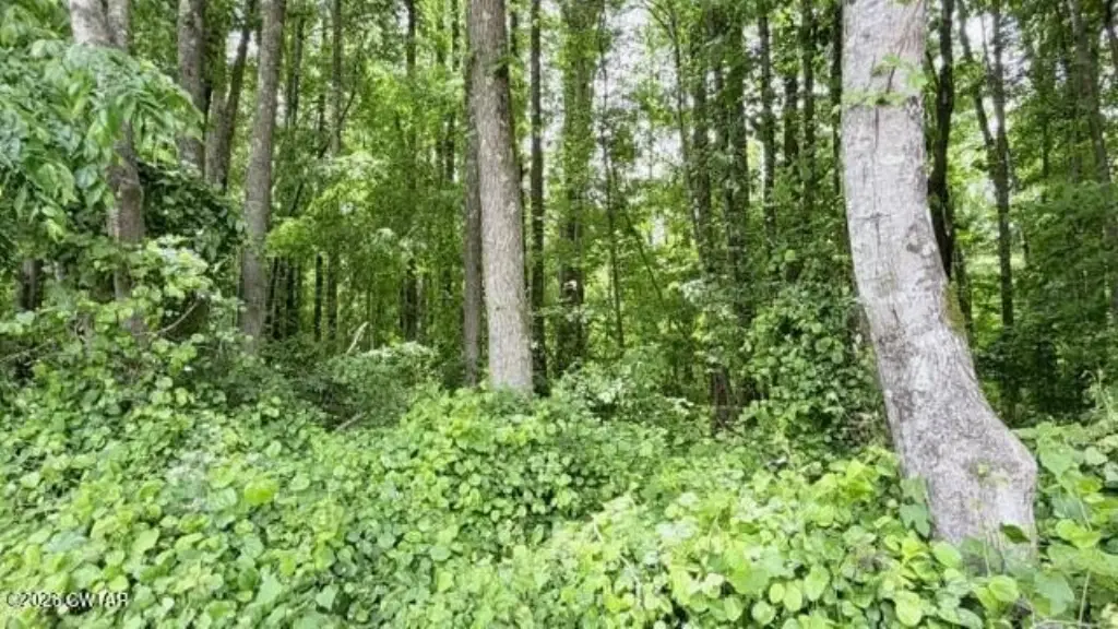 Picture 11