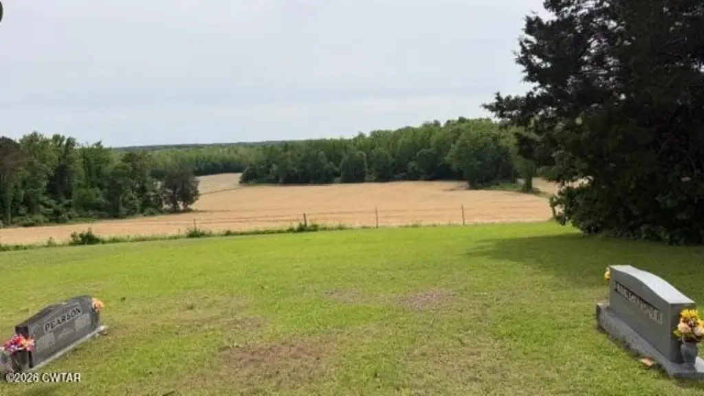 Picture 23