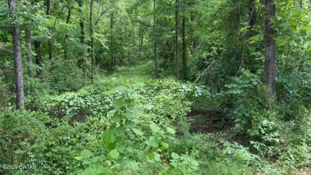 Picture 24