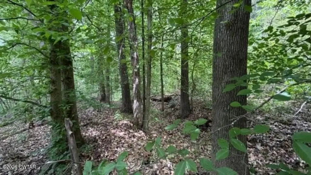 Picture 18