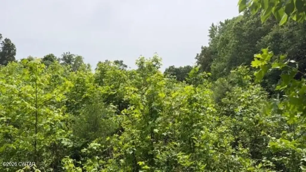 Picture 16