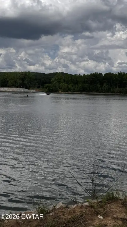 Picture 6