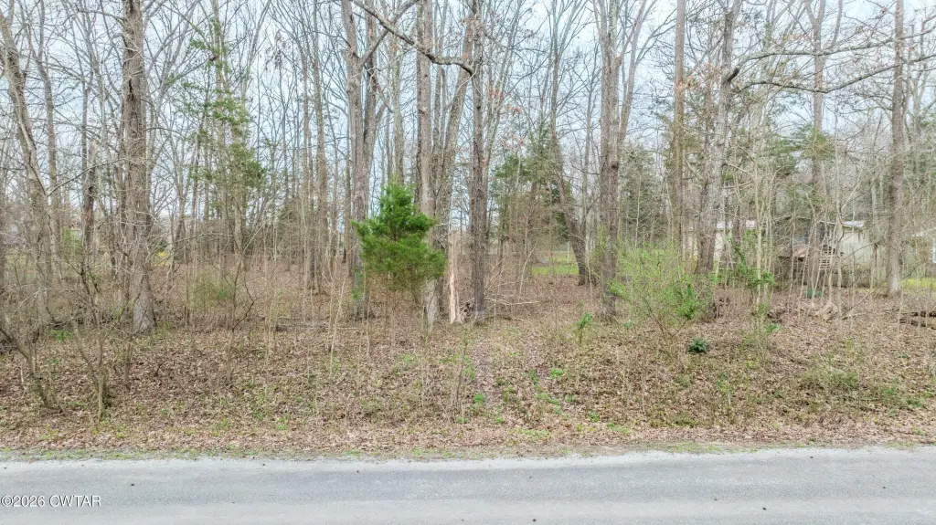Picture 2