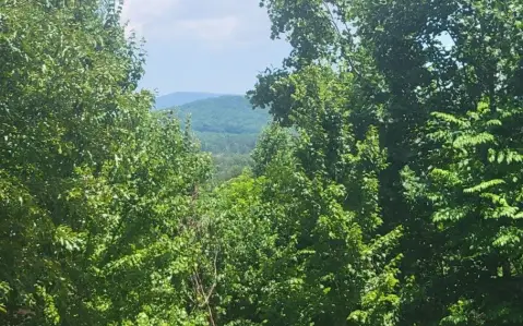 Warne, NC Vacant Homesite