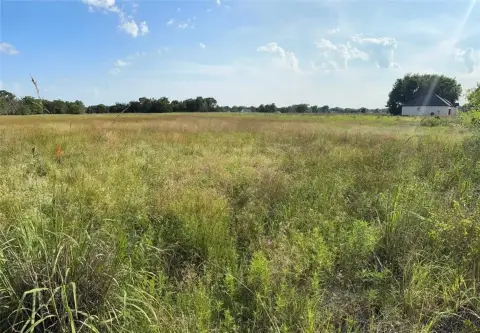 Residential Lot in Canton, TX