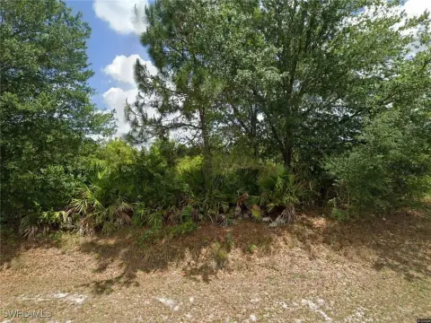 Lehigh Acres Vacant Land