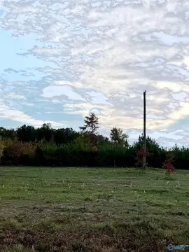 Piedmont, AL Acreage with Views