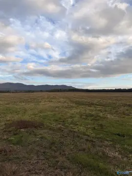 Piedmont, AL Cleared Land