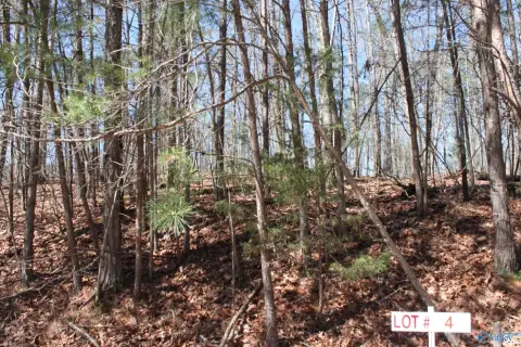 Wooded Lot For New Home
