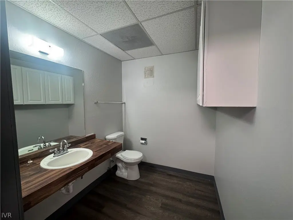 Picture 8