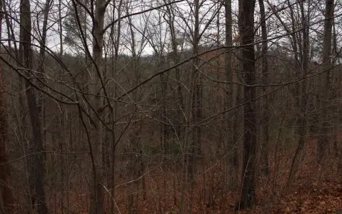 Hayesville Vacant Lot with Views