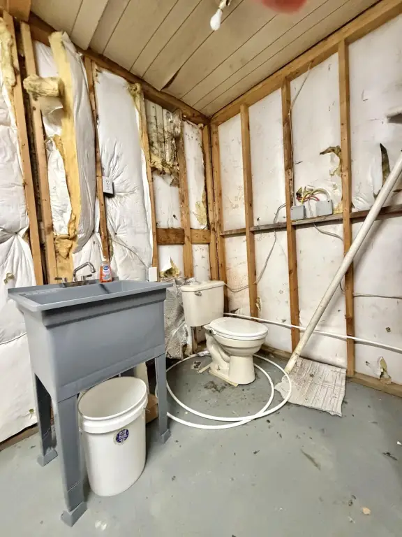 Picture 17