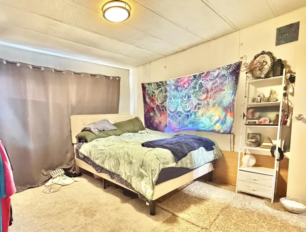 Picture 19
