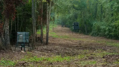 Exceptional Hunting and Recreational Property