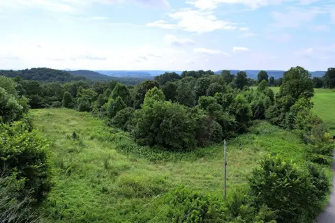 Unrestricted Land in Dunnville, KY