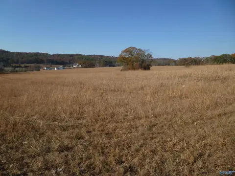 Fort Payne Industrial Land Acreage