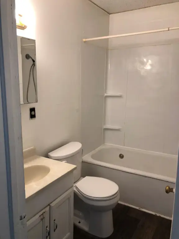 Picture 17