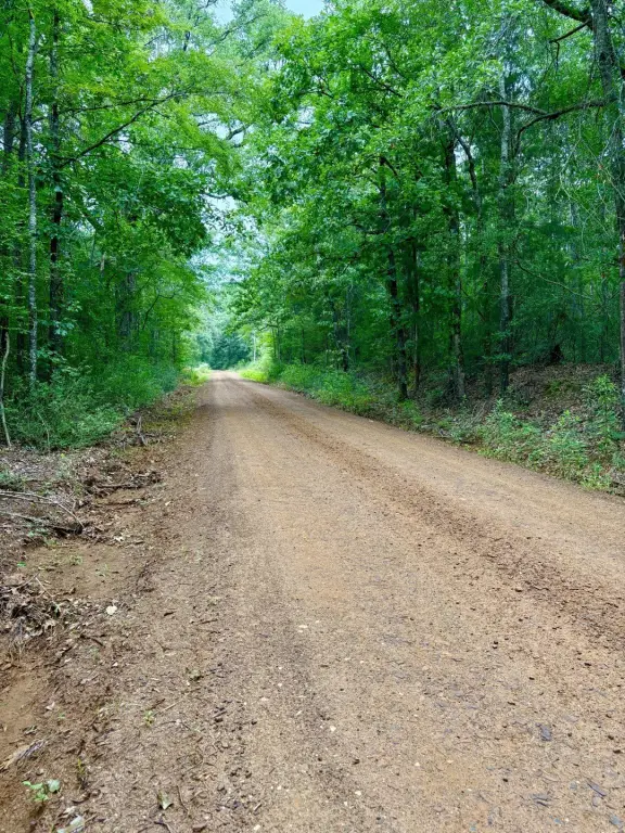 Picture 4