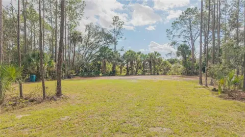 Samsula Vacant Land Opportunity