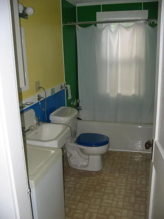 Picture 11