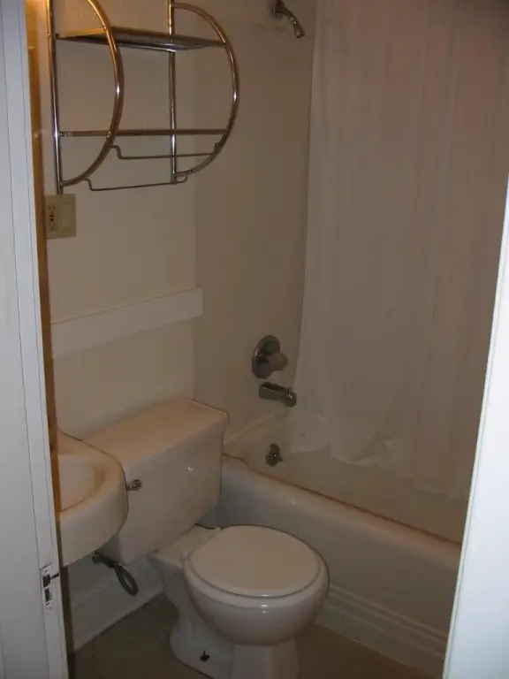 Picture 7