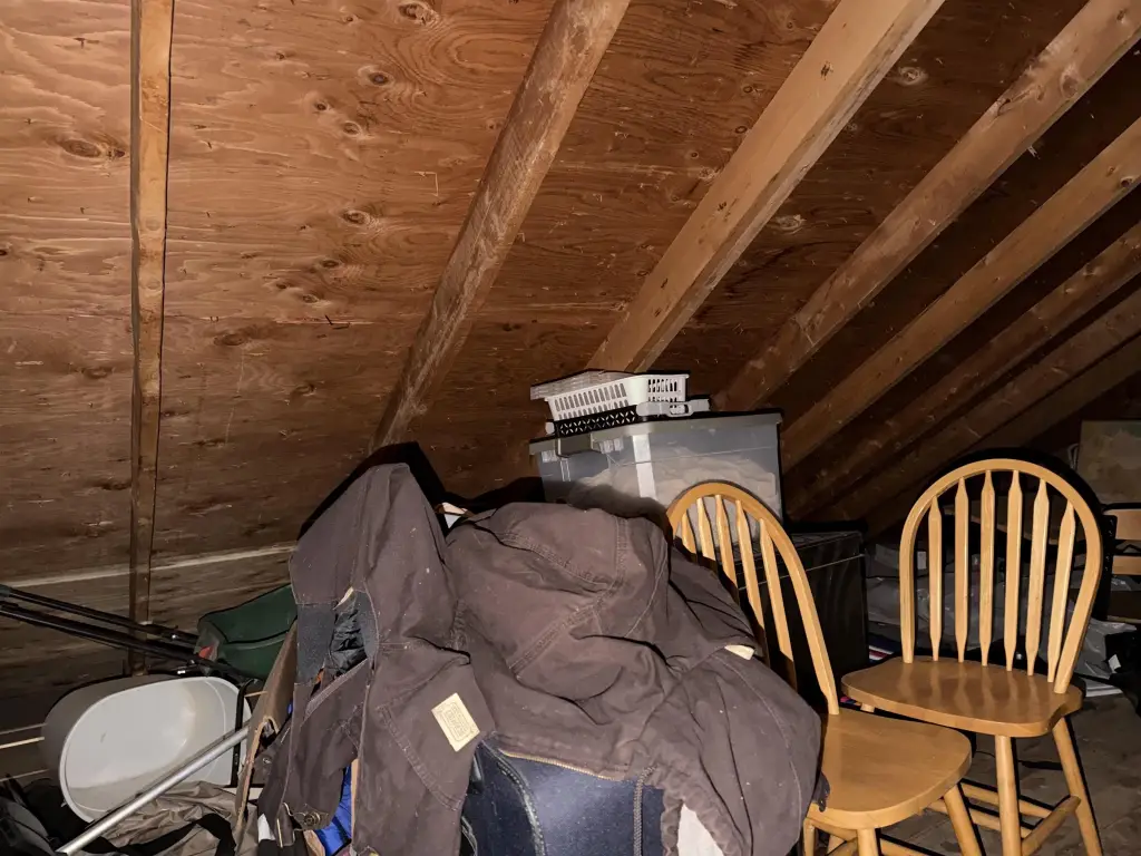 Picture 44